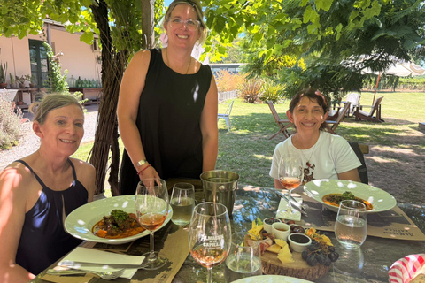 Cordano Winery – Founded by José Mujica’s Grandfather Wine Experience with transport from Colonia del Sacramento