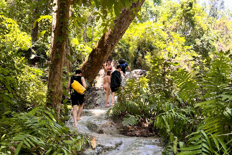 Chiang Mai: Bua Thong Sticky Waterfalls with Hotel Transfer Sticky Waterfalls with Hotel Transfer