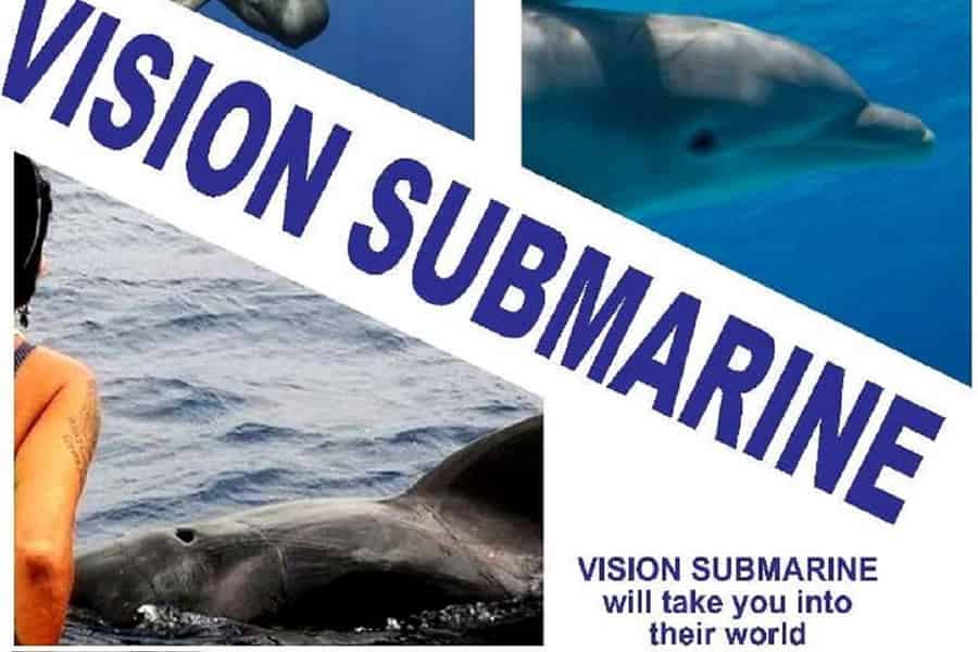 Los Cristianos: Katamaranfahrt mit Walen und Delfinen. Foto: GetYourGuide Los Cristianos: Katamaranfahrt mit Walen und Delfinen. Foto: GetYourGuide