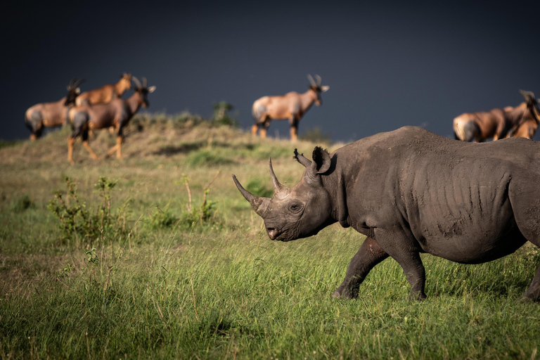 Au départ d'Arusha : safari dans le Serengeti, le Tarangire et le NgorongoroArusha : safari de 7 jours à Arusha, Tarangire et Serengeti