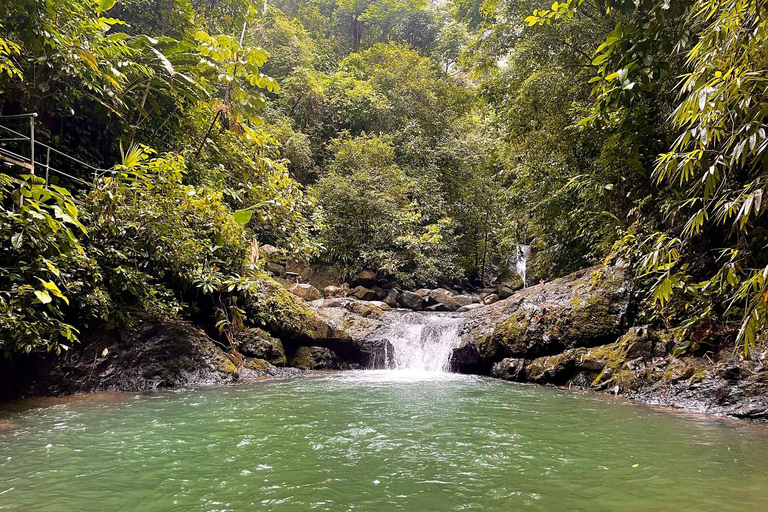 COSTA RICA:UPPTÄCK COSTARICAS VILDA DJUR-STRAND &amp; SKOG 2VECKOR