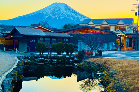 Depuis Tokyo : Excursion privée d&#039;une journée au Mont Fuji et à Hakone