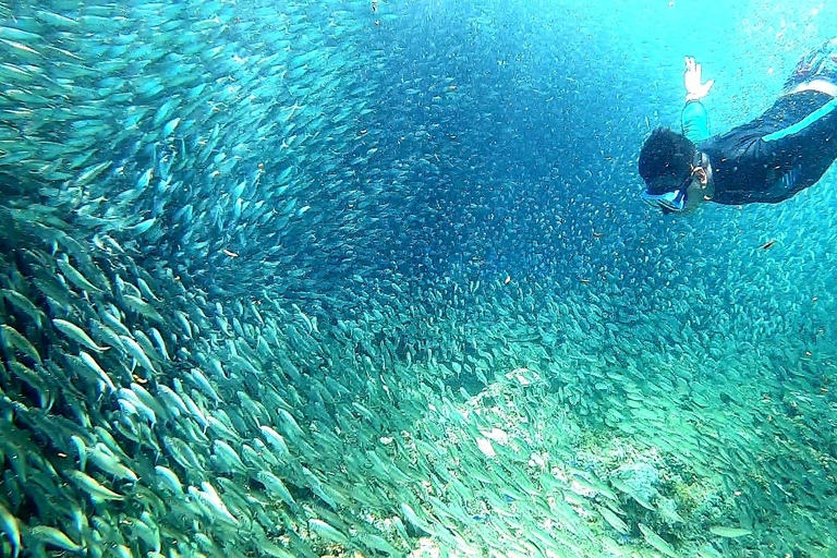 ATV, Mantayupan Falls &amp; Pescador Island Hopping + måltider