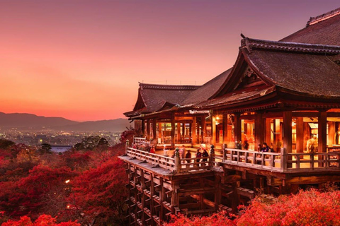 Tokyo: 7-Day Japan Highlights Private Guided Tour