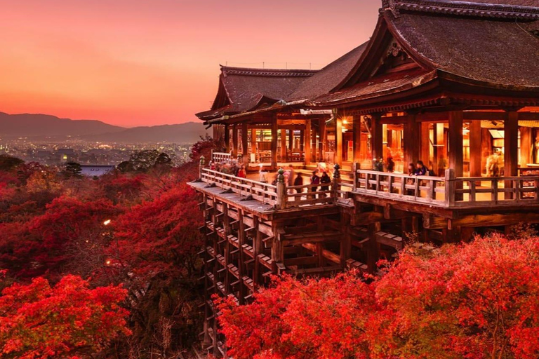 Tokyo: 7-Day Japan Highlights Private Guided Tour