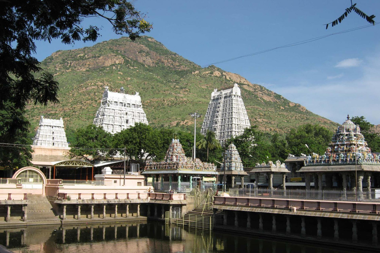 From Chennai: 6-Day Tamil Nadu Temple Tour with Guide