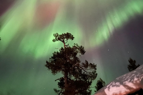 Saariselkä/Kakslauttanen: Private Aurora Hunt in Premium Car Saariselkä: Premium Northern Lights Car Hunt in Small Group