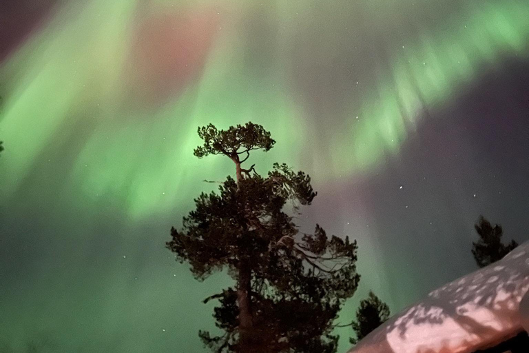 Saariselkä/Kakslauttanen: Private Aurora Hunt in Premium Car Saariselkä: Premium Northern Lights Car Hunt in Small Group