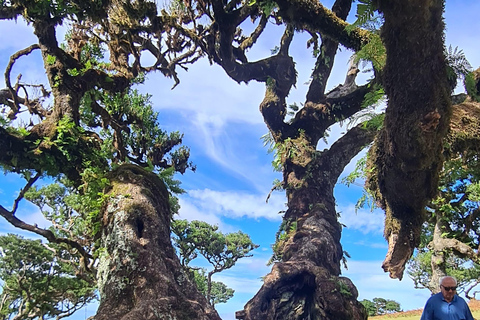فونشال: جولة عائلية في جزيرة ماديراجولة عائلية في جزيرة ماديرا