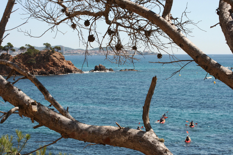 Kajakarstwo i nurkowanie z rurką w Playa de Aro, Costa Brava