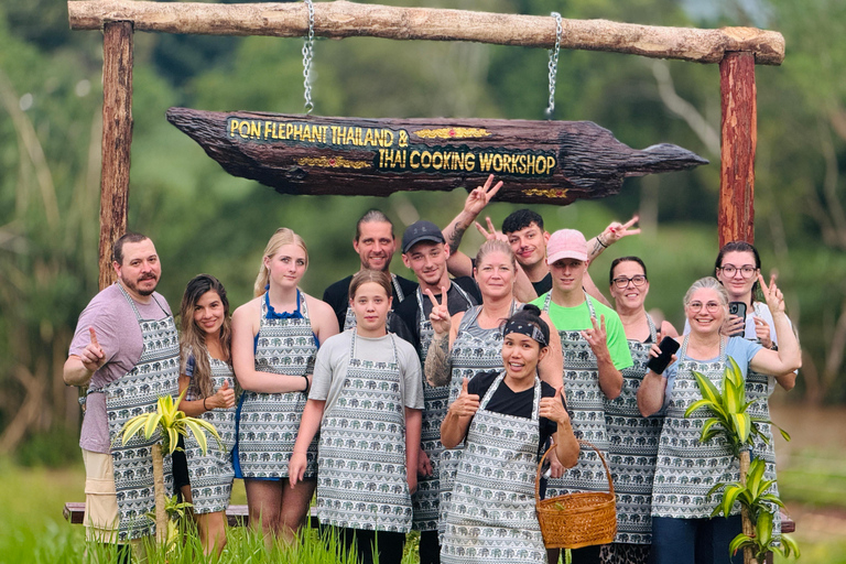 Chiang Mai: Elephant Sanctuary & Thai Cooking Workshop Meeting Point In Town