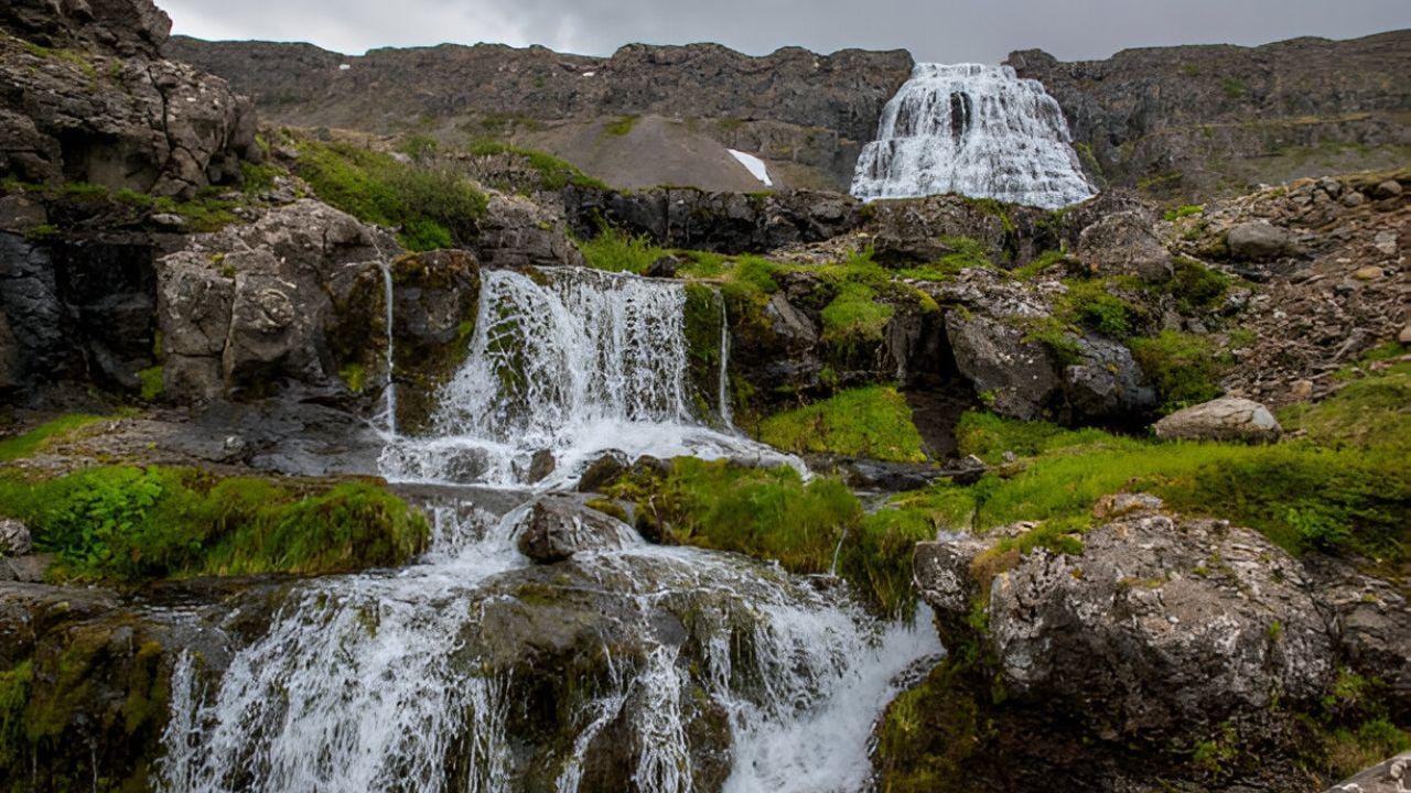 private Tour ab Isafjordur: Dynjandi-Wasserfälle & Westfjorde