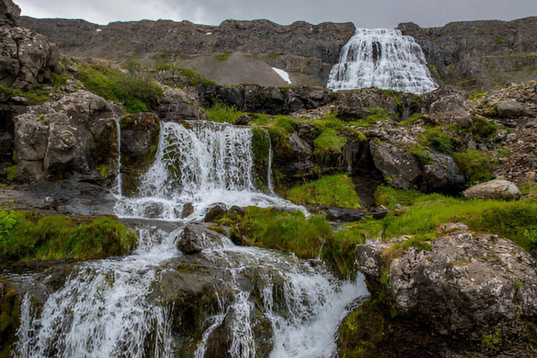 From Isafjordur: Private Dynjandi Waterfall & Farm Tour