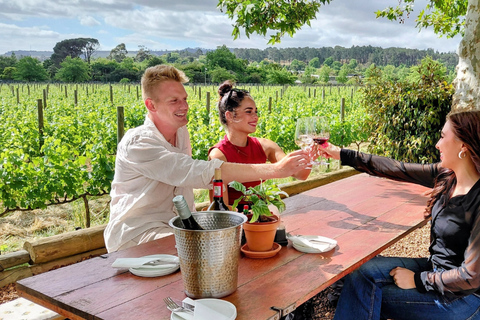 Cape Town: 2-Day Private Tour with Penguins, Safari & Wines