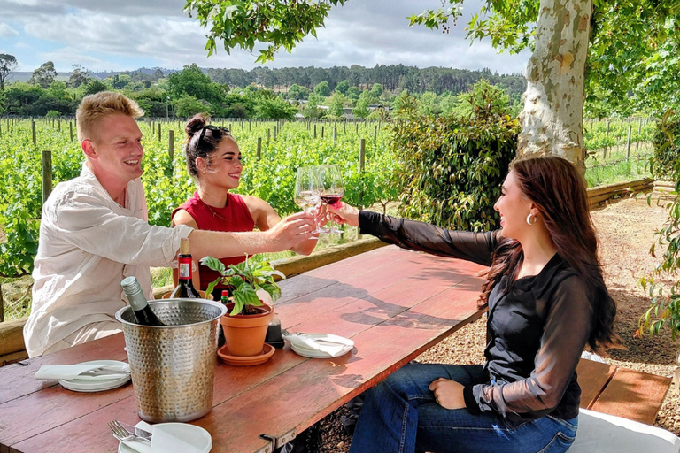 Cape Town: 2-Day Private Tour with Penguins, Safari & Wines