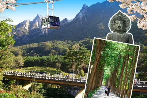 Séoul : Mt. Seorak, île de Nami et jardin coréen, pas de shopping