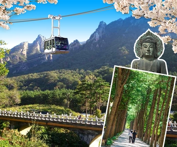 Seúl: Monte Seorak, Isla Nami y Jardín Coreano, Sin Compras