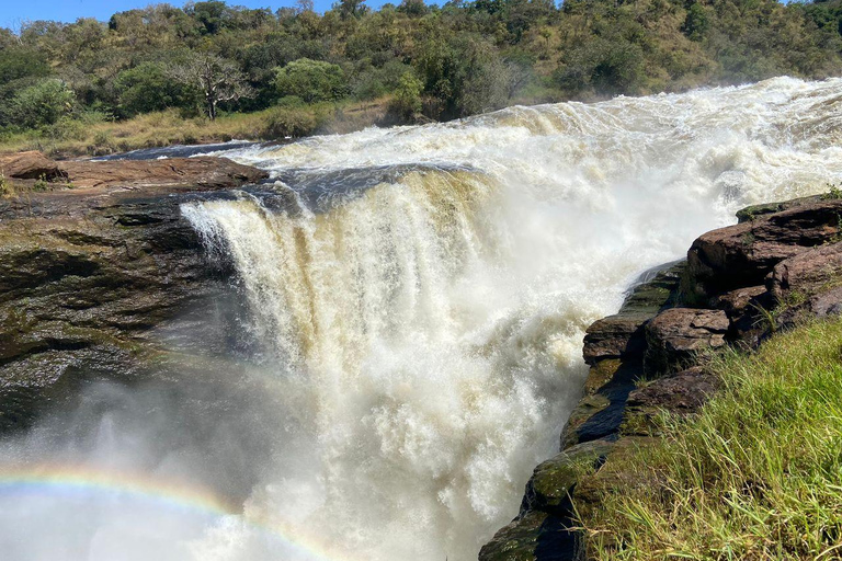 Murchison falls; 3days midrange tour to murchison falls