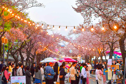 Busan: Spring Cherry Blossom & Gyeongju Highlights Day Tour