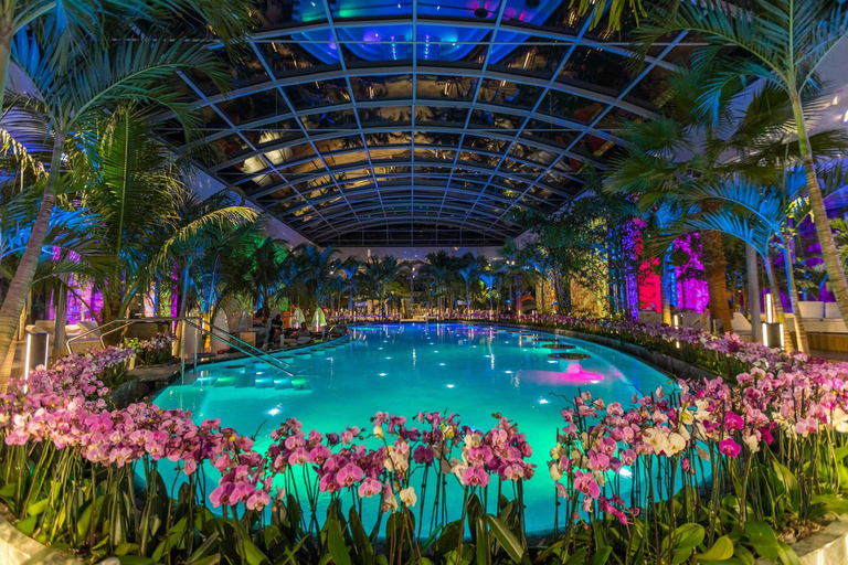 布加勒斯特：Therme Bucharest 门票和接送服务