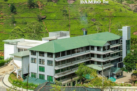 Kandy To Nanuoya Drop Tour & Morning Ella Train Journey Kandy To Nanuoya Drop Tour & Morning Ella Train Journey Car*