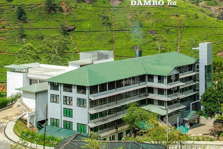 Kandy To Nanuoya Drop Tour & Morning Ella Train Journey Kandy To Nanuoya Drop Tour & Morning Ella Train Journey Car*
