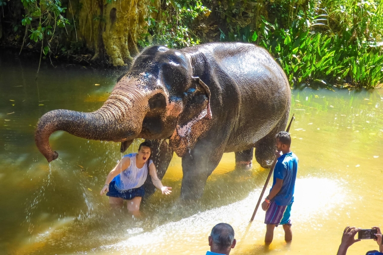 Elefantenpfleger Erlebnis Option Wasserfall TagestourElefantenpfleger-Erlebnis halbtags