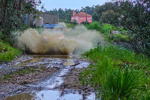 Ta en rundtur med buggyTomar Buggy-tur