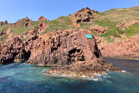 De Sagone/Cargèse: Passeio de barco por Scandola, Piana e Girolata