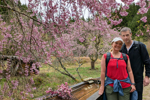 8-timmars Nakasendo-vandring från Nagoya – licenserad guide och bil8-Hour Nakasendo Hike from Nagoya – Licensed Guide &amp; Car