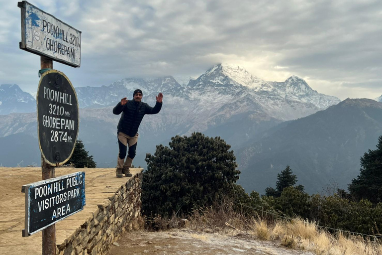 De Pokhara: Caminhada guiada de 5 dias por Poon Hill, Mulde Hill e Dobato