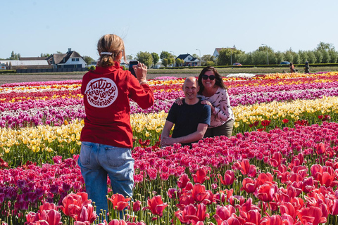 Tulip Experience and Tulip Fields Tour from Amsterdam