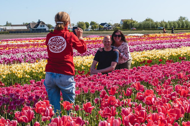 Tulip Experience and Tulip Fields Tour from Amsterdam