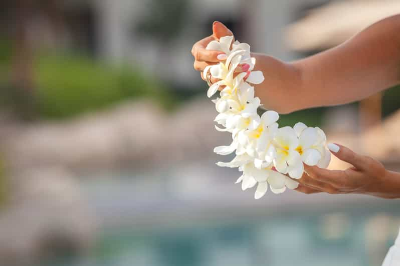 Maui: Kahului Airport (OGG) Traditional Lei Greeting | GetYourGuide