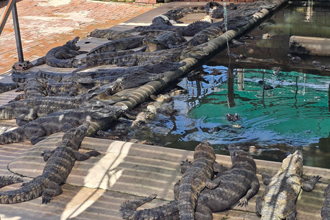 Siem Reap Crocodile Farm Tour With Tuk Tuk Transfer