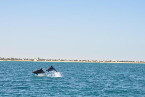 Djerba: Half-Day Boat Trip, Dolphin Watching, Swimming, and Lunch