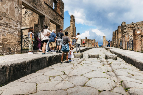From Naples: Pompeii Shore Excursion for Cruisers with Guide From Pompeii: Guided Tour + Entry Ticket