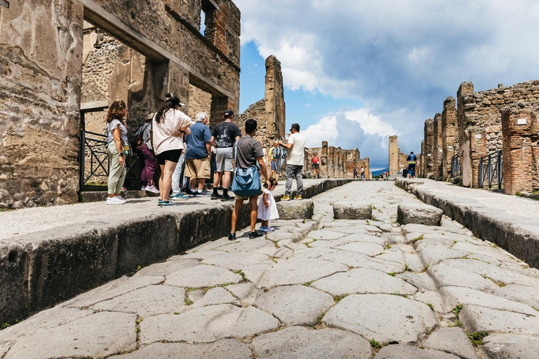 From Naples: Pompeii Shore Excursion for Cruisers with Guide From Pompeii: Guided Tour + Entry Ticket