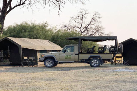 From Maun: 3-Day Moremi Game Reserve Safari Tour