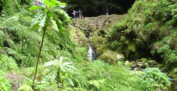 Levada Walk and Caldeirao Verde Waterfalls: Madeira