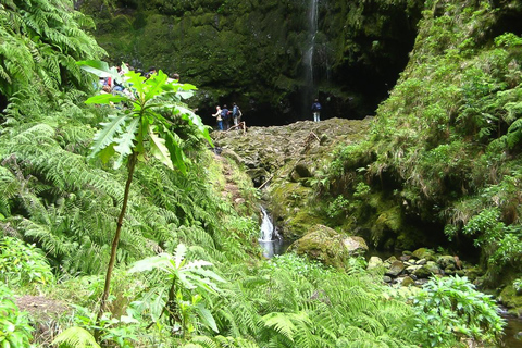 Madeira: Levada-wandeling en Caldeirão Verde-watervallen