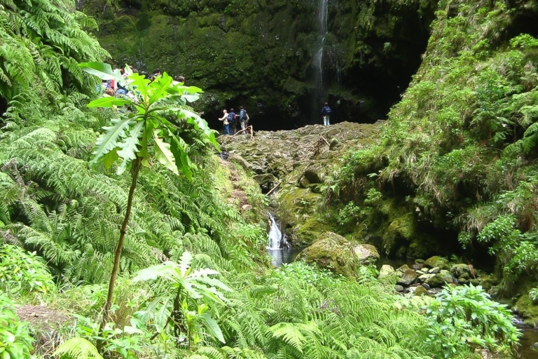 Madeira Levada-Spaziergang & Caldeirao Verde-Wasserfall