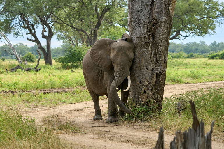 Livingstone: Mosi-oa-Tunya Park, Falls & Sunset Cruise