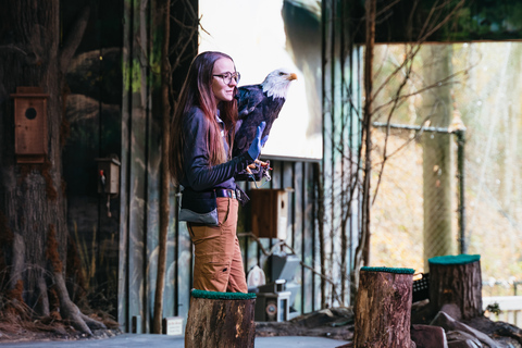 Pigeon Forge: biglietto d'ingresso al parco tematico DollywoodBiglietto d'ingresso per 1 giorno al parco a tema Dollywood