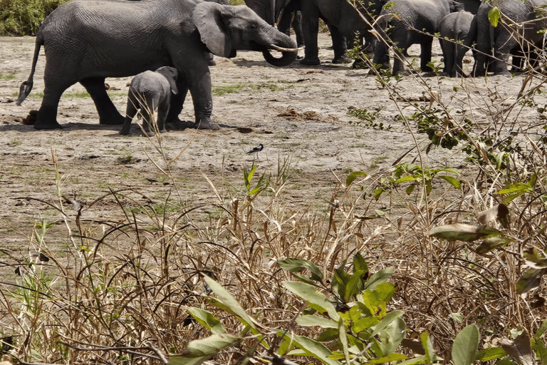 4-Day Safari Tour to Tarangire, Serengeti & Ngorongoro