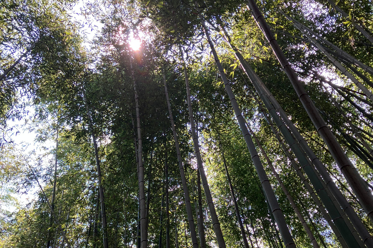 Från Osaka: Kyoto klassisk privat tur med bil med upphämtning från hotell