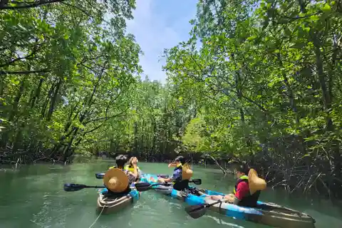 Langkawi : Kilim Mangrove Boat & Fun Kayak Tour avec déjeuner
