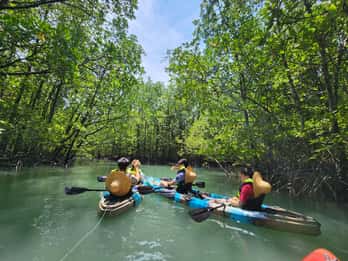 Langkawi: Kilim Mangrove Boat & Fun Kayak Tour med lunsj
