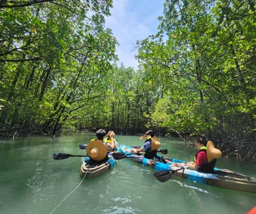 Langkawi : Kilim Mangrove Boat & Fun Kayak Tour with Lunch