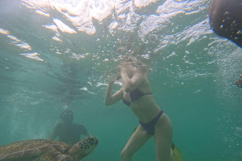 Mirissa: Thalaramba Beach Snorkeling Tour with Sea Turtles
